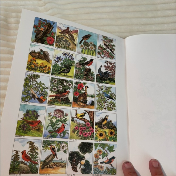 Set of 2 Vintage Coloring Books from Dover COLORING Book 1990 1993 Unused - Picture 10 of 14